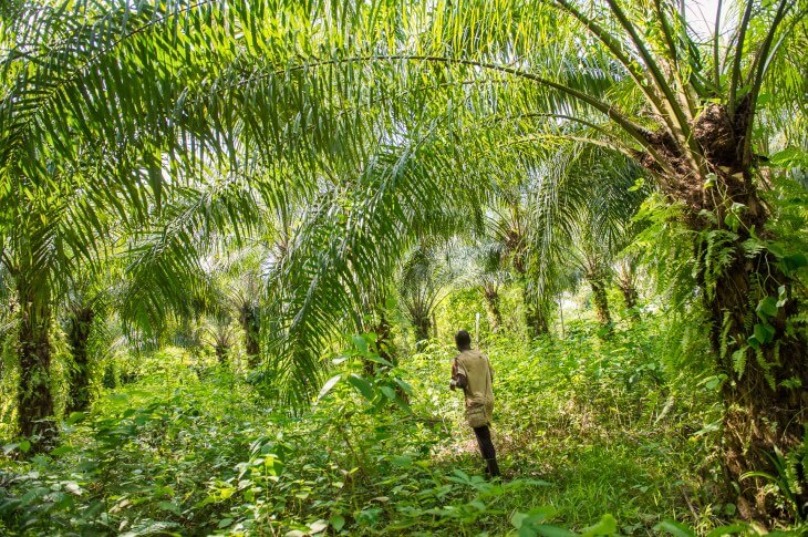 Sustainable & Regenerative Agriculture - Serendipalm