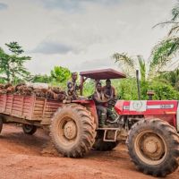 This is one of the Serendipalm tractors we are using for transport. Pick up of fruits is for free. On this picture: James Dapaah (Left), Kwabena Atuafo (Driver) und Bright Boakye.