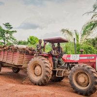 This is one of the Serendipalm tractors we are using for transport. Pick up of fruits is for free. On this picture: James Dapaah (Left), Kwabena Atuafo (Driver) und Bright Boakye.
