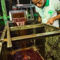 This is our clean food graded palm oil. It is pumped from here into our 30.000 liter storage tank. From this tank it is shipped to our costumers.